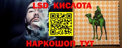 эйфоретик Будённовск
