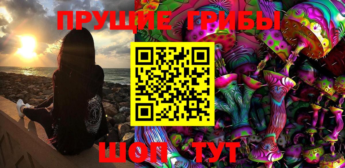 Псилоцибиновые грибы мицелий Мыски